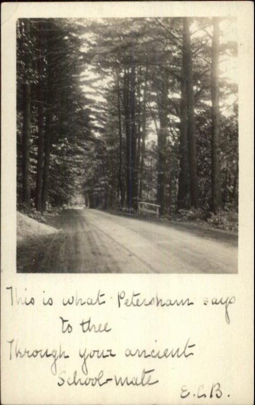 Wooded Road Scene - Petersham MA c1905 Real Photo Postcard