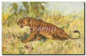 Postcard Old Lion Lioness