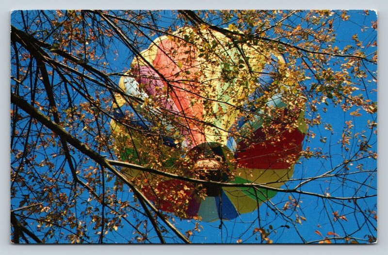 Rainbow Hot Air Balloon in Sky Viewed Through Trees Vintage Postcard 0798