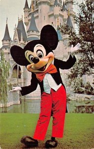 Magic Kingdom Mickey Mouse Cinderella's Castle Disneyland, CA, USA Disney 1977 