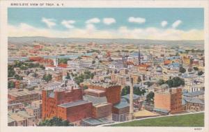 New York Troy Birds Eye View