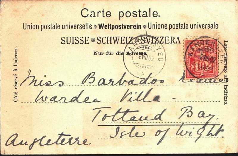 Switzerland Postcard - Trieb Des Viehes Zum Markt   BH6441