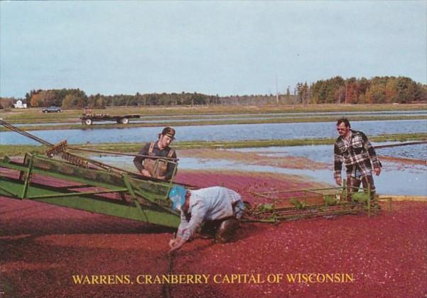 Wisconsin Warrens Cranberry Capitol Of Wisconsin Harvest Time Rezin Marsh 2000