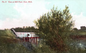 Vintage Postcard Dam at Mill Pond Water Reservoir Hart Michigan Will P. Canaan