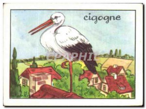 Image Stork