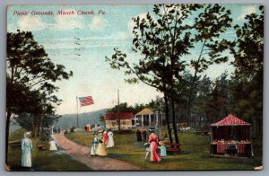 1908 Picnic Grounds & Park View Mauch Chunk Pennsylvania PA Posted Postcard