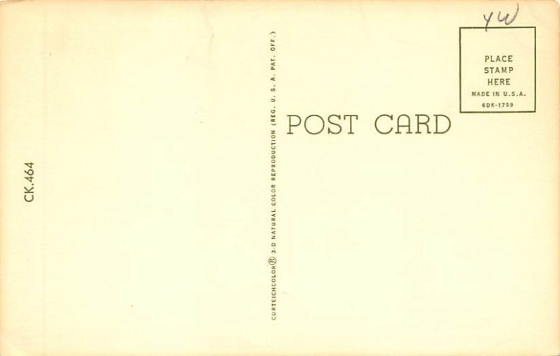 Giant Fish attacking Boat with Two Men Comic Fishing Unused 