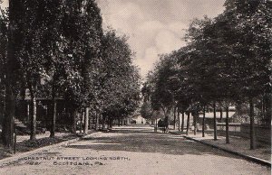 Postcard Chestnut Street Looking North Scottdale PA