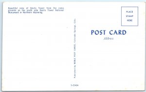 c1960s Devils Tower, WY Ancient Volcano Campground Tree Stump Chrome Noble A316