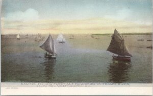 Fraser River New Westminster BC Salmon Fishing Fleet Boats Unused Postcard G30