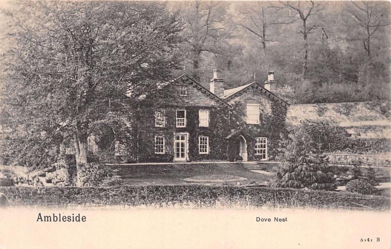 AMBLESIDE CUMBRIA UK DOVE NEST PEACOCK BRAND #5141B POSTCARD