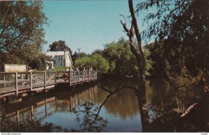 REHOBOTH BEACH , Delaware, 50-60s ; Children's Fishing Pier - Lake Gerar