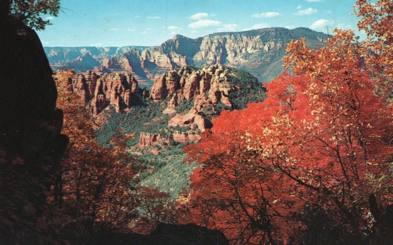 Vintage Postcard Red Maples Rock Mts. Schnebly Hill Oak Creek Canyon Arizona AZ