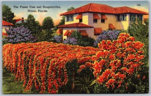 Vtg Miami Florida FL Flame Vine Bougainvillea Tropical Foilage 1940s Postcard