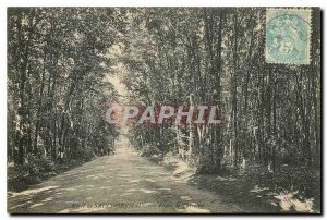 Postcard Old Forest Road Saint Germain Carrieres