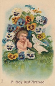 BIRTHDAY , 1900-10s ; A Boy Just arrived , Pansy Flowers