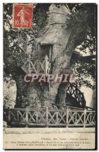 Postcard Old Oak Tree Close d & # 39Allouville