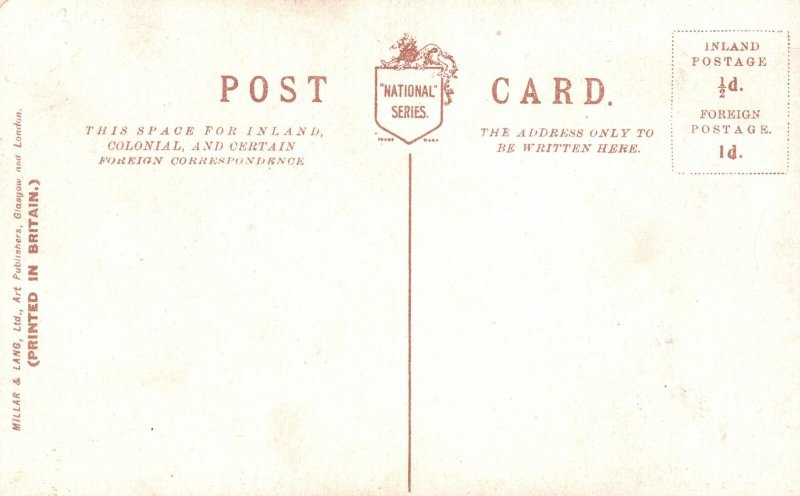 Vintage Postcard 1910's Remnants Over The Garden Wall Comics Pub Millar & Lang