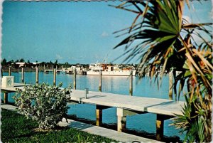 Chub Cay, Bahamas  CHUB CAY CLUB Private Membership BOAT & DOCKS  4X6 Postcard