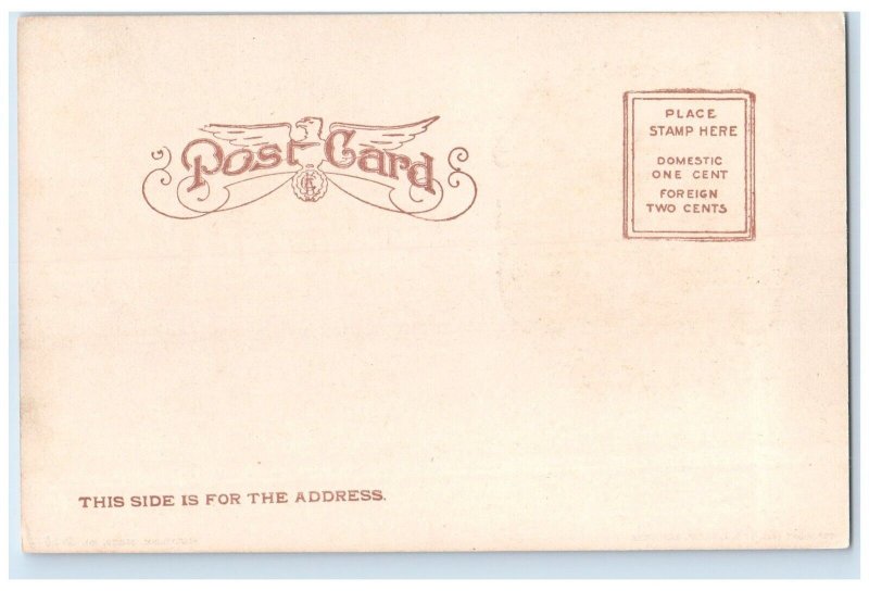 c1905 Square Miles Ratified Constitution Capitol Richmond Virginia VA Postcard