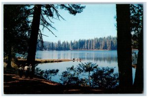 c1960s Lake Sequoia Kings National Park Fresno County California CA Postcard 