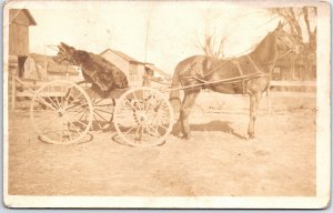 VINTAGE POSTCARD HORSE PULLING A CART WITH INJURED BEAST REAL PHOTO 1904-1918