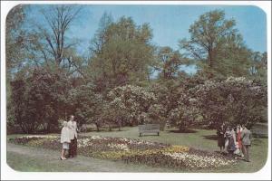 Lilac Time, Rochester NY