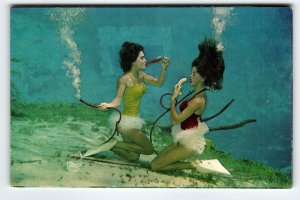 Weeki Wachee Mermaids Florida Postcard Ladies Underwater Eating & Drinking Soda