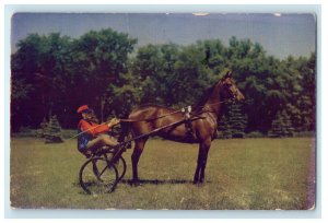 1952 The Harness Horses Saratoga Raceway Saratoga Springs New York NY Postcard 