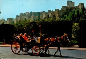 Spain Malaga Sightseeing Horse Drawn Carriage 1977