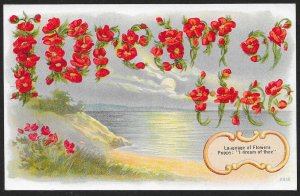 Language of Flowers Poppy I Dream Of Thee Unused c1910s