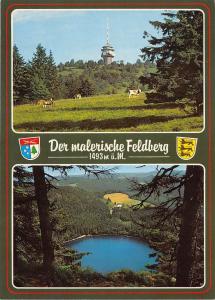 BG13174 hubert oberle feldberg hochschwarzwald sesselbahn kiosk cow   germany