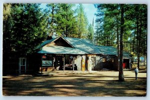1976 Camp Sherman Store Gasoline Station Road Trees Camp Sherman Oregon Postcard