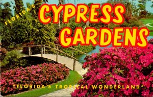 Florida Cypress Gardens Rustic Bridge With Azaleas In Bloom 1976