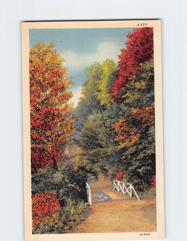 Postcard Bridge Trees Nature Landscape Scenery