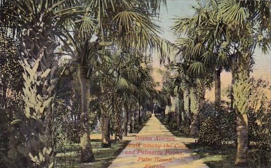 Florida Palm Beach Ocean avenue A Walk Among The Coco And Palmetto Palms