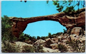 M-63892 Owachomo Bridge Natural Bridges National Monument Utah