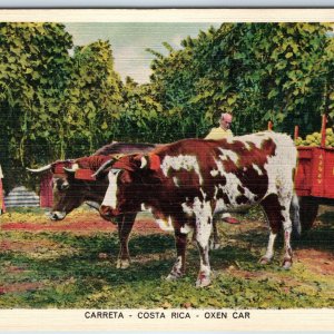 c1940s Costa Rica Native Oxen Cart Plantation Carlos Federspiel Linen PC Ox A207
