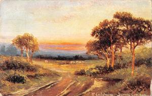 uk2187 godalming surrey common real photo uk