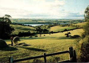 Ireland Haymaking In West Cork