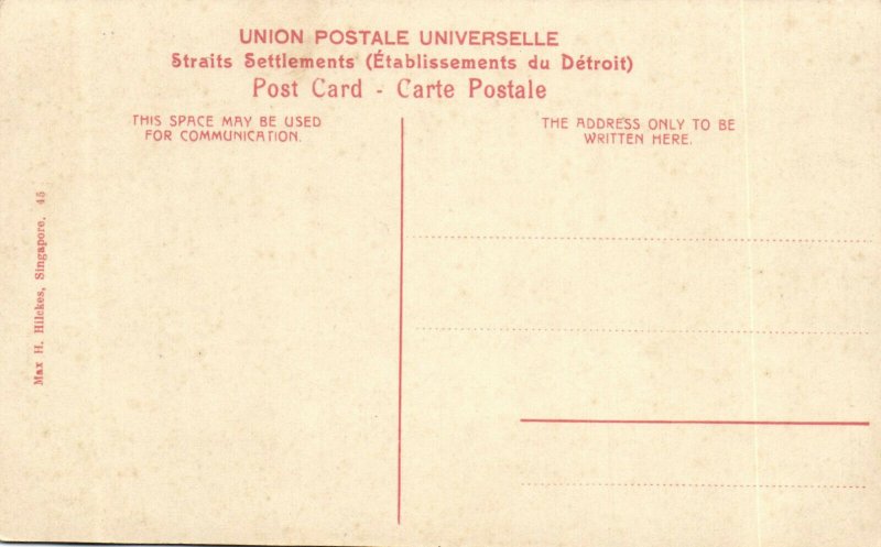 PC CPA SINGAPORE, ENTRANCE BOTANICAL GARDEN, Vintage Postcard (b18727)