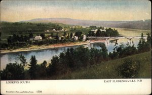 East Florenceville New Brunswick NB View Looking South c1910 Vintage Postcard