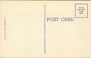 Vtg 1940's Lynchburg College and Campus Lynchburg Virginia VA Linen Postcard