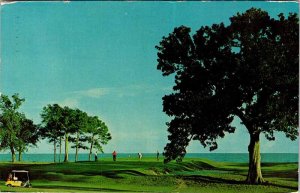 Postcard GOLF COURSE SCENE Biloxi Mississippi MS AM9228