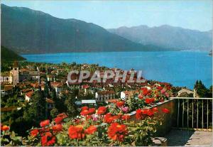 Postcard Modern Cannovio (Lake Maggiore) view Generale