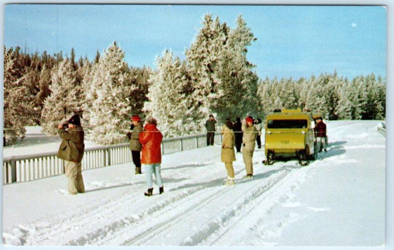 YELLOWSTONE NATIONAL PARK  Wintertime Tours ENCLOSED SNOWMOBILE 1970  Postcard