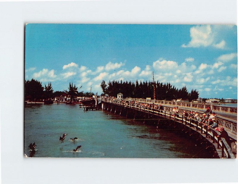 Postcard John's Pass Bridge At Holiday Isles, Madeira Beach, Florida