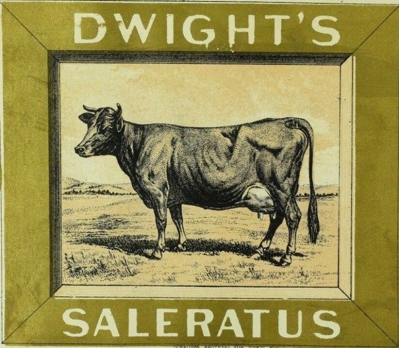 1880's Graphical The Cow Brand Dwight's Saleratus Baking Cooking Lovely Cow P97