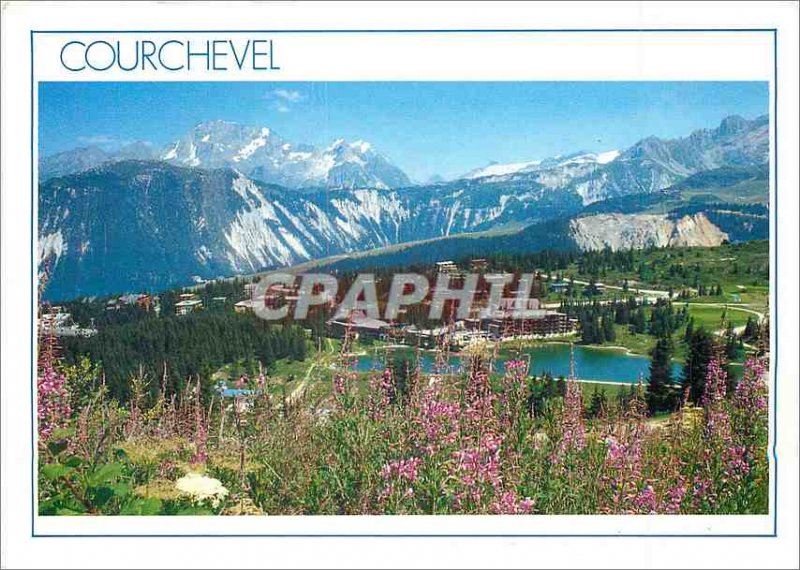 Postcard Modern Courchevel 1850 (Savoy) The Resort Alpin Garden in Tarentaise