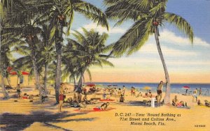 Year 'Round Bathing at 71st Street and Collins Ave. Miami Beach, Florida